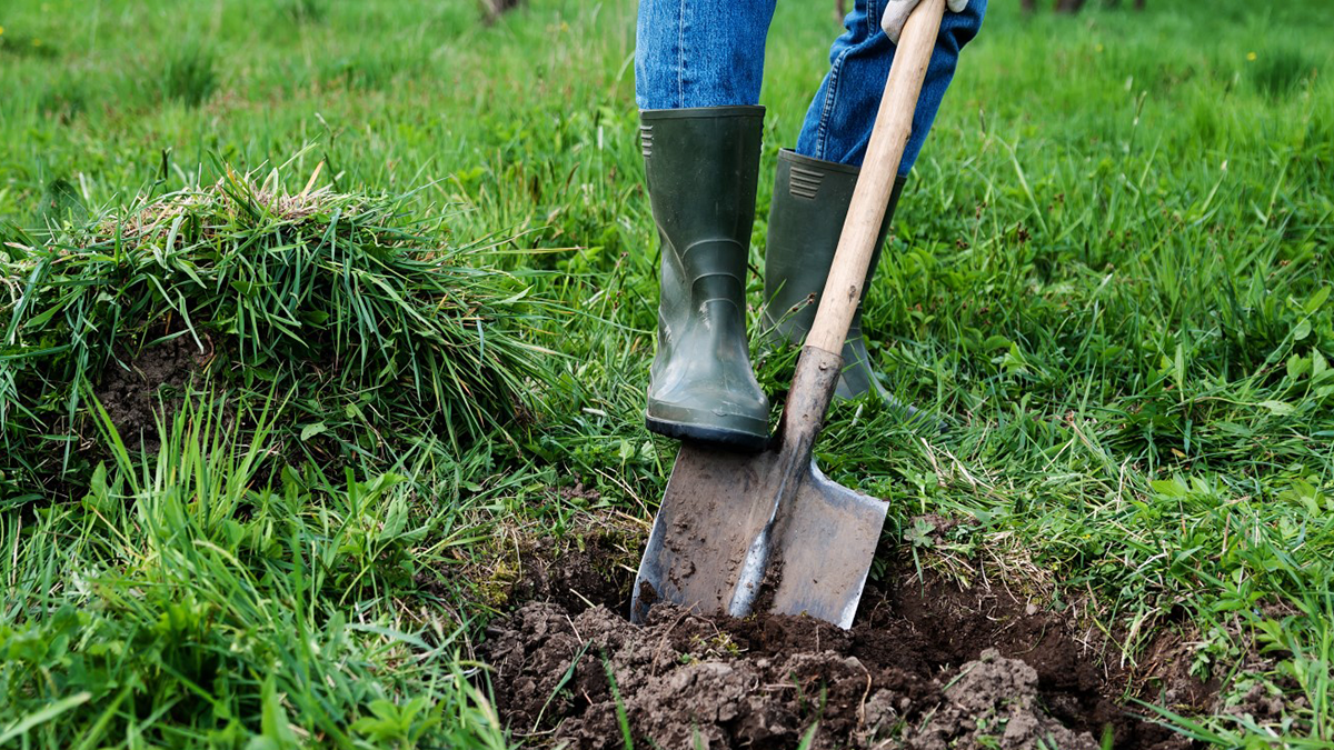 Shovel and Scoop